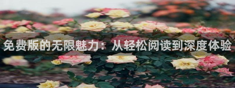 羞羞漫画免费版在线阅读免费观看