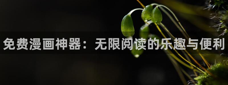 羞羞漫画下拉式免费观看