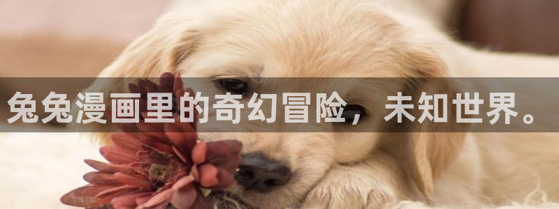 羞羞漫画在线看漫画免费阅读
